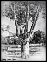 /album/fotogaleria-girona/img-2029-640x480-jpg/